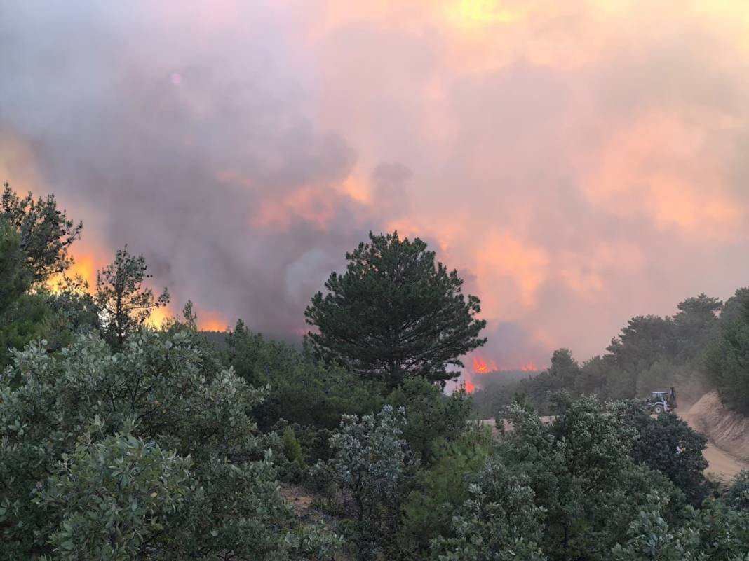 Uşak'ta orman yangını! Kızılcaören ve Kuşdemir köyleri arasındaki alan yanıyor - Resim: 23